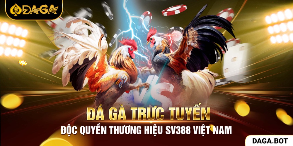 Đá gà trực tuyến độc quyền sảnh SV388 tại Việt Nam